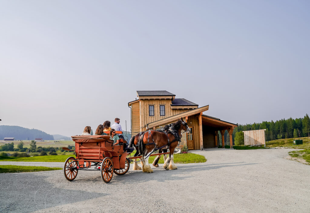 Clydesdale Outpost Horse Carriage in Whitefish
