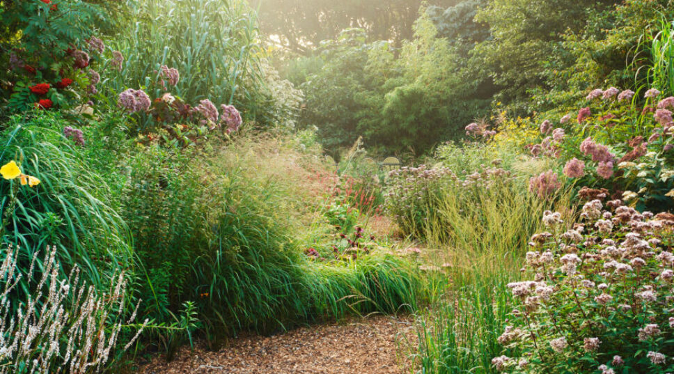10 Things You Need to Do In Your Garden Before the End of Summer
