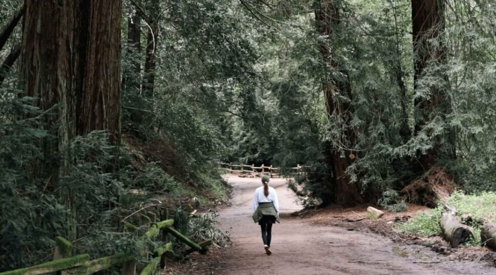 Explore Oakland’s Great Outdoors