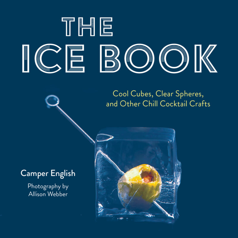 The Ice Book Cover
