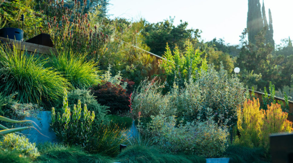This Is Everything You Need to Know Before Hiring a Landscape Designer