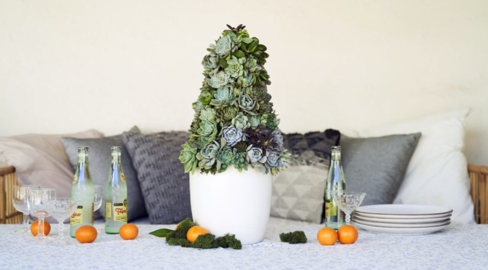 This DIY Succulent Christmas Tree Will Have Your Friends Gasping, OMG Is That Real?