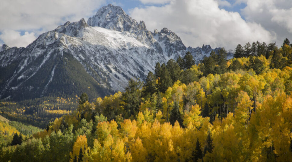 These 5 National Forests Have the Best Fall Leaf Peeping in the West